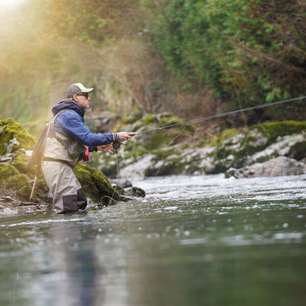 What does a financial advisor do?